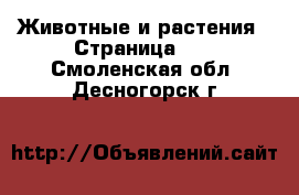  Животные и растения - Страница 11 . Смоленская обл.,Десногорск г.